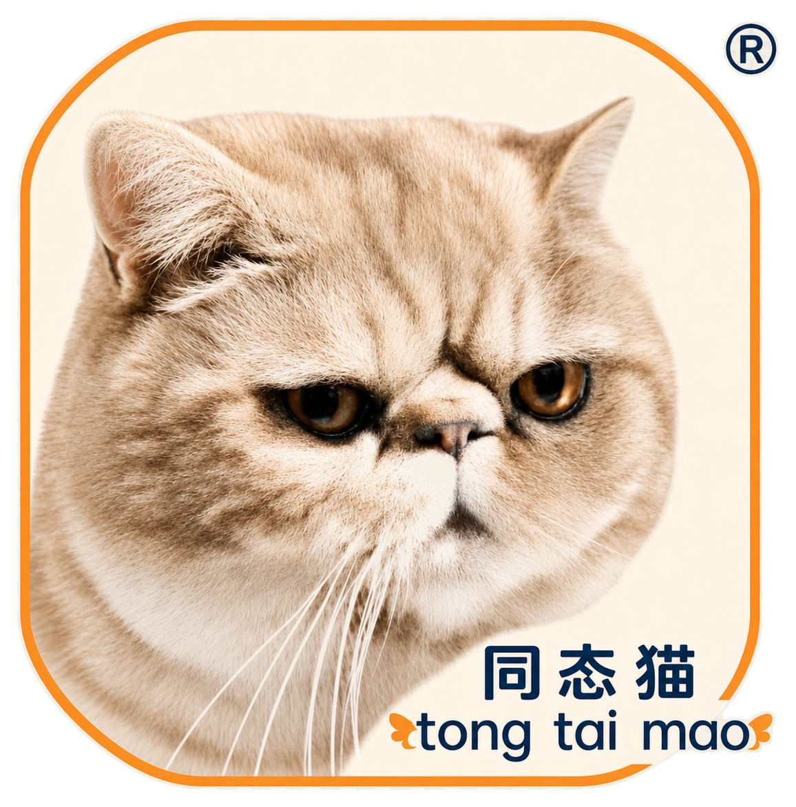 Packaging customization trademark